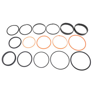 AHC19979 Hydraulic Cylinder Seal Kit